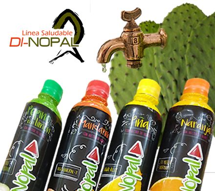 Bebidas de Nopal